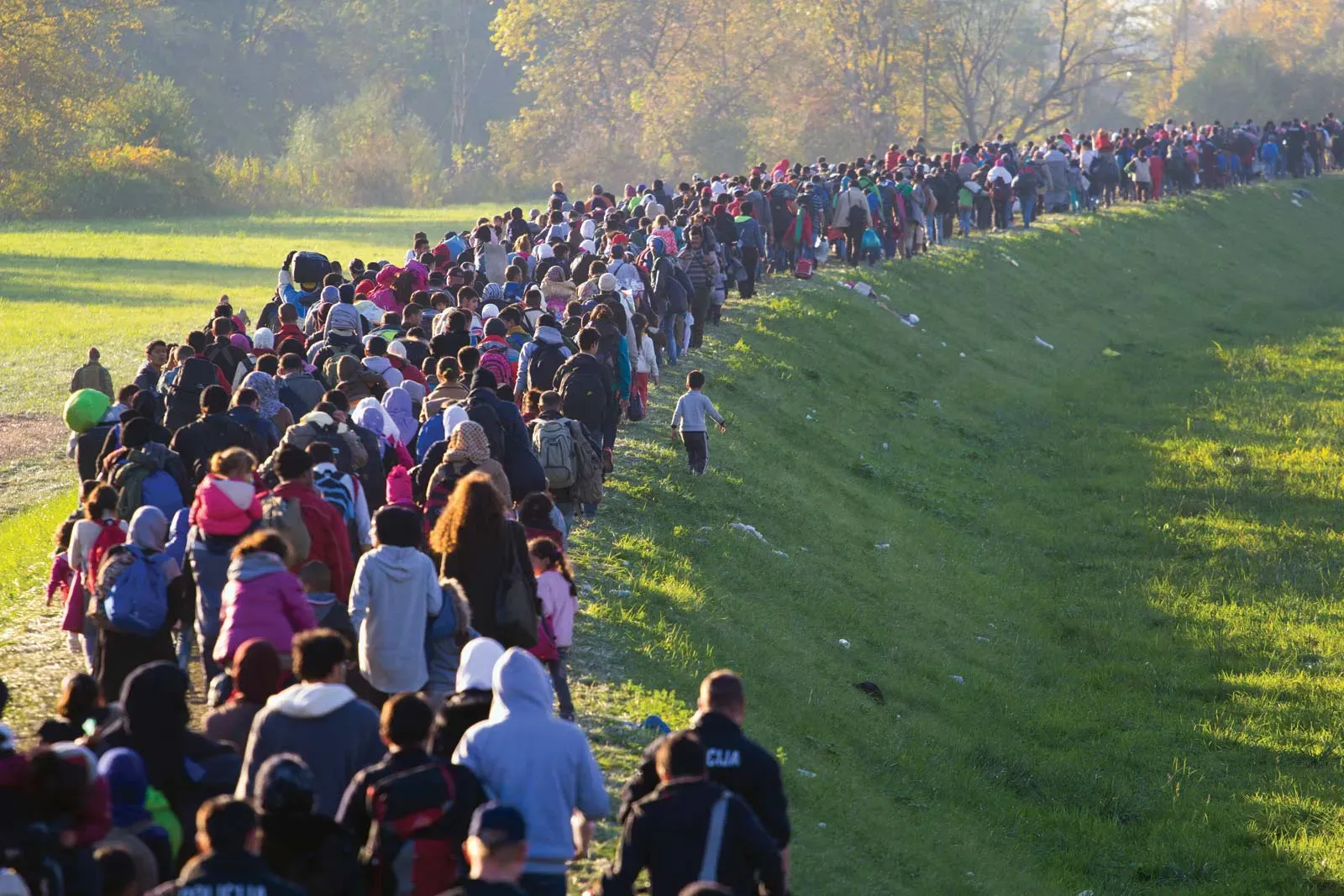 Migraciones - Trabajo final de máster